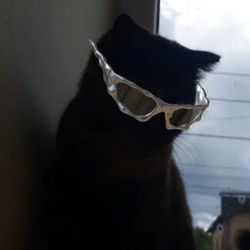 maxtheadventureseeker's profile image