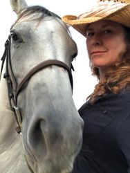 holleyjbg's profile image