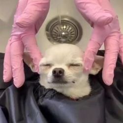 alejandrohager7's profile image