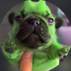 GEEBLE NATION's profile image
