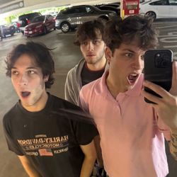cert matt girl's profile image