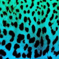 .rainbowglitternutsack73's profile image