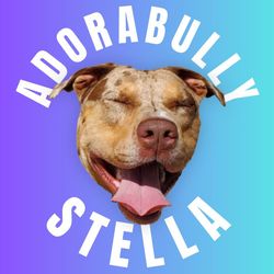 Stella the American Bully's profile image