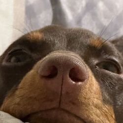 bobby's profile image