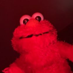 Elmo's profile image