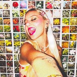 MCKENNA☮️🏴‍☠️👑's profile image
