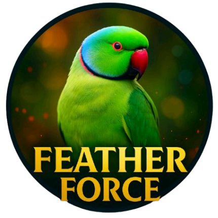 Post Preview Image