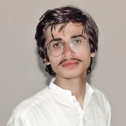 ShahZad Ayoub's profile image